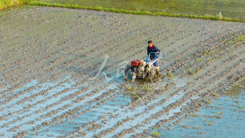 粮食烘干机：揭秘其优缺点与选购要点